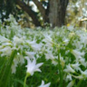 Meet your Posher, Karin